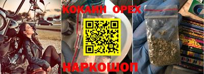 МДПВ Гусев