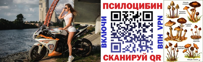 нарко площадка формула  как найти   Ирбит  Псилоцибиновые грибы мицелий 