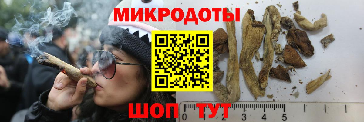 купить наркотики сайты  Галлюциногенные грибы прущие грибы  Вход с VPN  Ирбит 